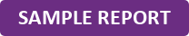 Sample Tenant Referencing Report